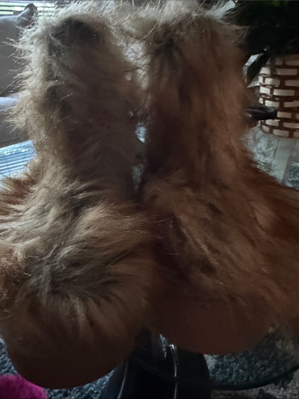 wild fable Brown Faux Fur Ankle Booties